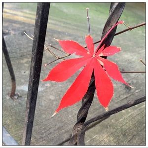 Meet your Posher, Catherine